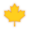 A Picture of a Golden Maple Leaf